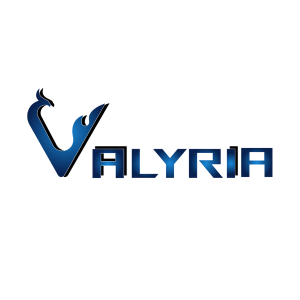 VALYRIA VISIONS PVT LTD
